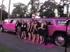 pink-limo-kingspark